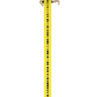 LD.jpg